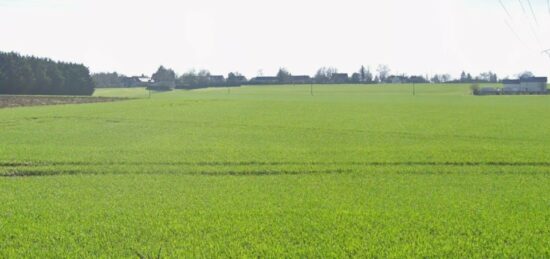 Terrain à bâtir à Rians, Centre-Val de Loire