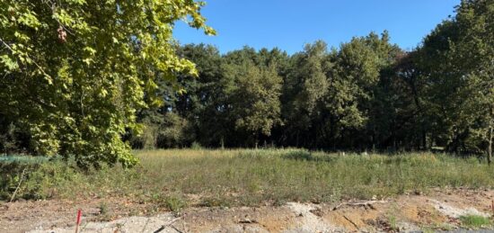 Terrain à bâtir à Martillac, Nouvelle-Aquitaine