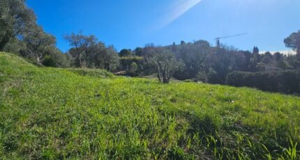 Grasse Terrain à bâtir - 2631535-11719annonce120260913cPnHu.jpeg Maisons Open