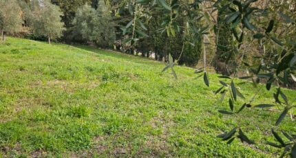 Valbonne Terrain à bâtir - 2633527-11719annonce1202609153tGEm.jpeg Maisons Open