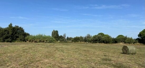 Terrain à bâtir à Villeneuve-la-Rivière, Occitanie