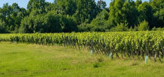 Terrain à bâtir à Saint-André-de-Cubzac, Nouvelle-Aquitaine