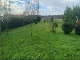  2595786-11516annonce120260804ttkTF.jpeg Maisons Open