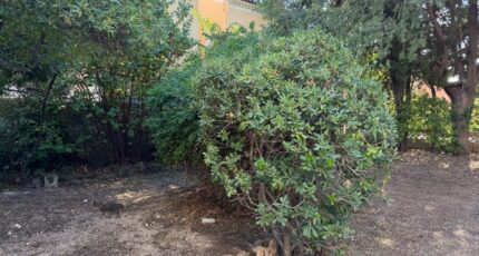 Toulon Terrain à bâtir - 2635956-9911annonce420260916fUDA9.jpeg Maisons Open