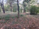  2635654-5922annonce220260916eeK1A.jpeg Maisons Open