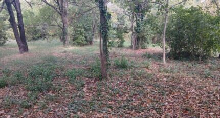 Solliès-Pont Terrain à bâtir - 2635654-5922annonce220260916eeK1A.jpeg Maisons Open