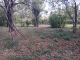  2635654-5922annonce320260916hrcVH.jpeg Maisons Open