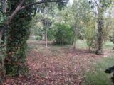  2635654-5922annonce420260916a141e.jpeg Maisons Open