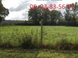  2601979-6159annonce220260814zWXgW.jpeg Maisons Open