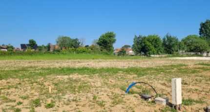 Coulogne Terrain à bâtir - 2637133-10722annonce2202609174tB84.jpeg Maisons Open