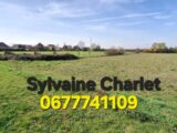  2637411-5754annonce120260917OoWNR.jpeg Maisons Open