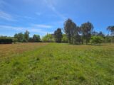  2638044-11516annonce1202609179Vqg8.jpeg Maisons Open