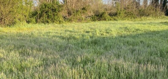 Terrain à bâtir à Landiras, Nouvelle-Aquitaine