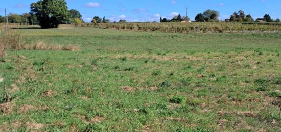 Terrain à bâtir à Montendre, Nouvelle-Aquitaine