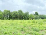  2638221-11356annonce320260917zLRUv.jpeg Maisons Open