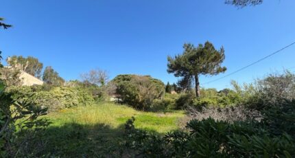 Hyères Terrain à bâtir - 2639417-10122annonce220260511ts6ZU.jpeg Maisons Open