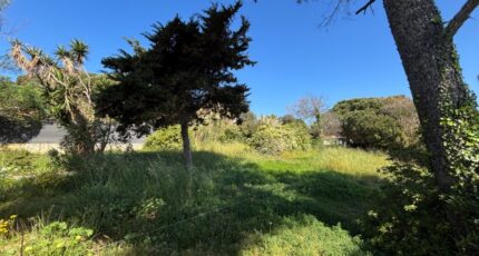 Hyères Terrain à bâtir - 2639417-10122annonce3202605114hXz1.jpeg Maisons Open