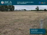  2639550-11516annonce2202609183yToh.jpeg Maisons Open