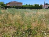  2640087-11041annonce220260918acd9E.jpeg Maisons Open