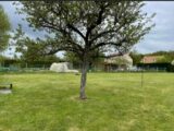  2639263-10885annonce120260918dZwKL.jpeg Maisons Open