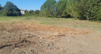 Fontvieille Terrain à bâtir - 2640244-695annonce120260918cw4z3.jpeg Maisons Open
