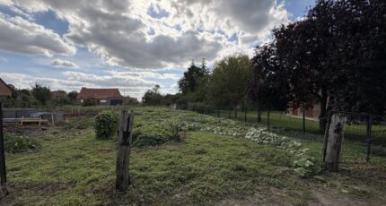 Mons-en-Pévèle Terrain à bâtir - 2636852-11905annonce220260916NkMgr.jpeg Maisons Open