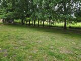  2638489-11516annonce120260917L4cws.jpeg Maisons Open