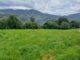  2640428-10316annonce220260919km0U9.jpeg Maisons Open