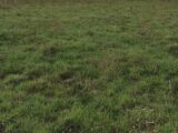  2566394-1153annonce1202606266TbrW.jpeg Maisons Open