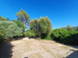  2561990-11080annonce120260623aCqXP.jpeg Maisons Open