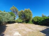  2561990-11080annonce220260623dR6Ty.jpeg Maisons Open