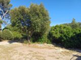  2561990-11080annonce320260623HRuCK.jpeg Maisons Open