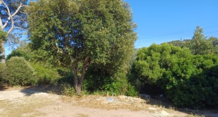 Pierrefeu-du-Var Terrain à bâtir - 2561990-11080annonce320260623HRuCK.jpeg Maisons Open