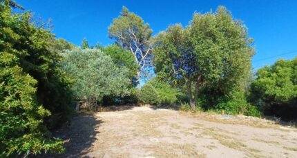 Pierrefeu-du-Var Terrain à bâtir - 2561990-11080annonce4202606230Xi6h.jpeg Maisons Open