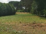  2568065-9573annonce120260629TnA1m.jpeg Maisons Open