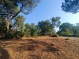  2642003-9575annonce120260721TmZoz.jpeg Maisons Open