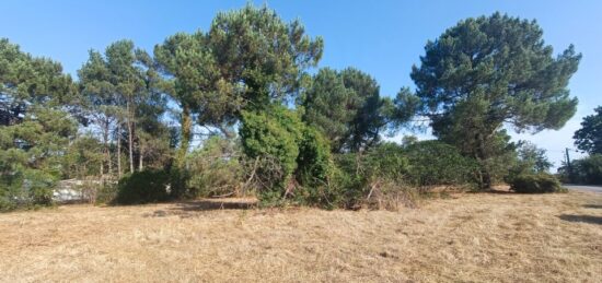 Terrain à bâtir à , Gironde