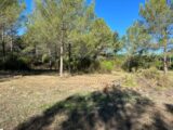  2644030-5622annonce2202609227LDtO.jpeg Maisons Open