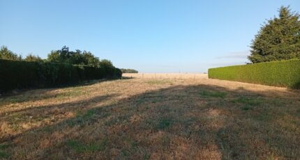 Collandres-Quincarnon Terrain à bâtir - 2604816-11732annonce220260819UFRpn.jpeg Maisons Open