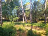 2644393-9911annonce120260922eZK3T.jpeg Maisons Open