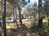  2644393-9911annonce420260922sTMFu.jpeg Maisons Open