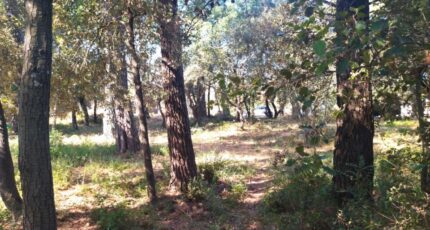 Le Thoronet Terrain à bâtir - 2644393-9911annonce420260922sTMFu.jpeg Maisons Open