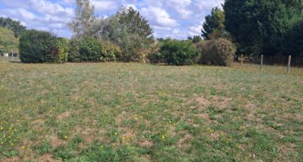 Jonzac Terrain à bâtir - 2644479-11959annonce120260922pFIOu.jpeg Maisons Open