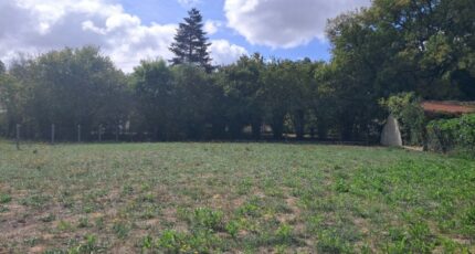 Jonzac Terrain à bâtir - 2644482-11959annonce120260922TvEvz.jpeg Maisons Open