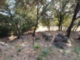  2644473-9911annonce320260922M4k3H.jpeg Maisons Open