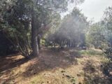  2644473-9911annonce420260922bmZBn.jpeg Maisons Open