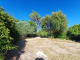  2645162-11080annonce120260923T1imh.jpeg Maisons Open