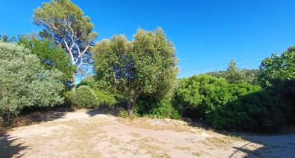 Pierrefeu-du-Var Terrain à bâtir - 2645162-11080annonce220260923svTdG.jpeg Maisons Open