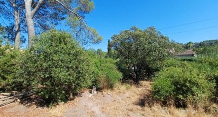 Pierrefeu-du-Var Terrain à bâtir - 2645162-11080annonce320260923xTJ9z.jpeg Maisons Open