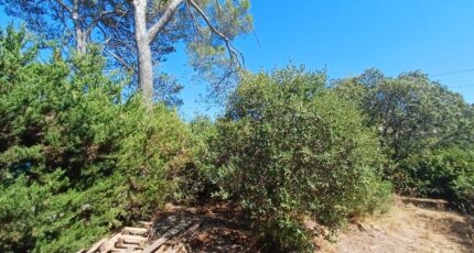 Pierrefeu-du-Var Terrain à bâtir - 2645162-11080annonce420260923rkwSh.jpeg Maisons Open